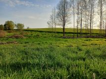 Działka rolno-budowlana Nowe Kiejkuty. Zdjęcie 2