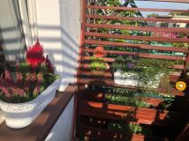 Mieszkanie 2-pokojowe Częstochowa Centrum, ul. Jasnogórska. Zdjęcie 4