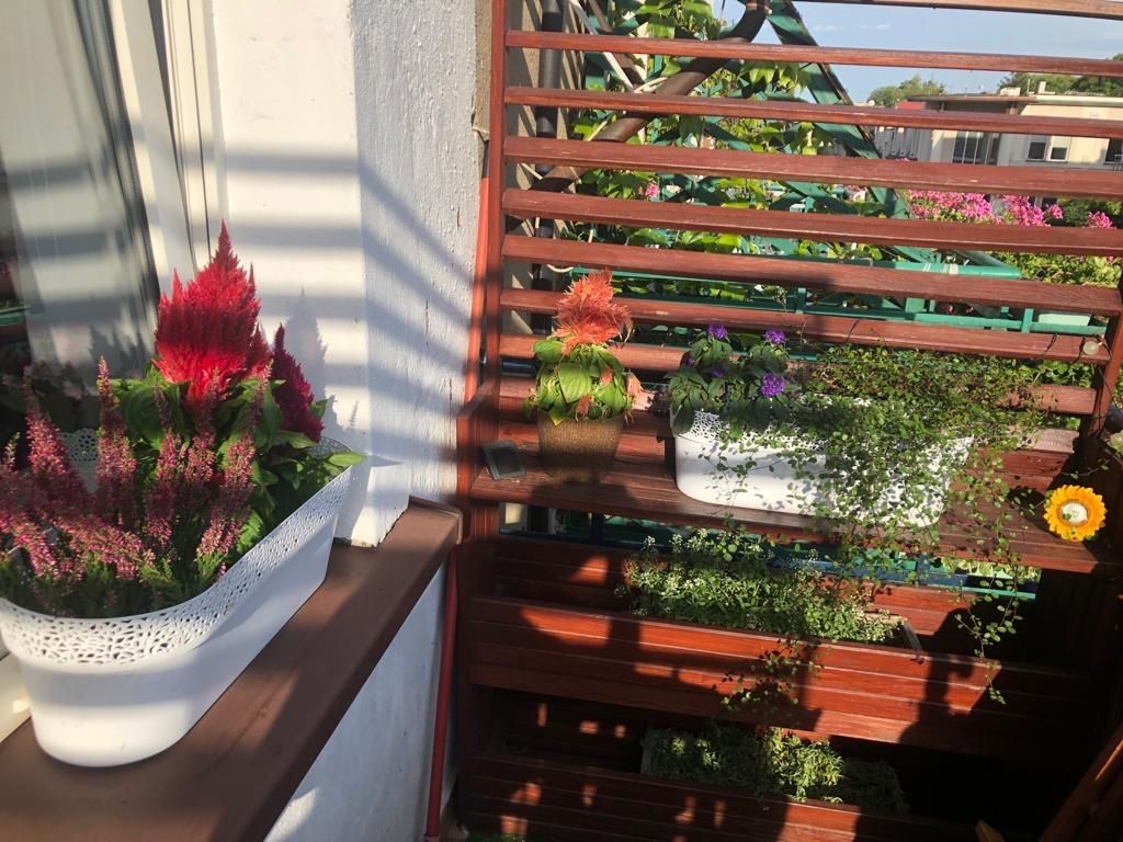 Mieszkanie 2-pokojowe Częstochowa Centrum, ul. Jasnogórska. Zdjęcie 5