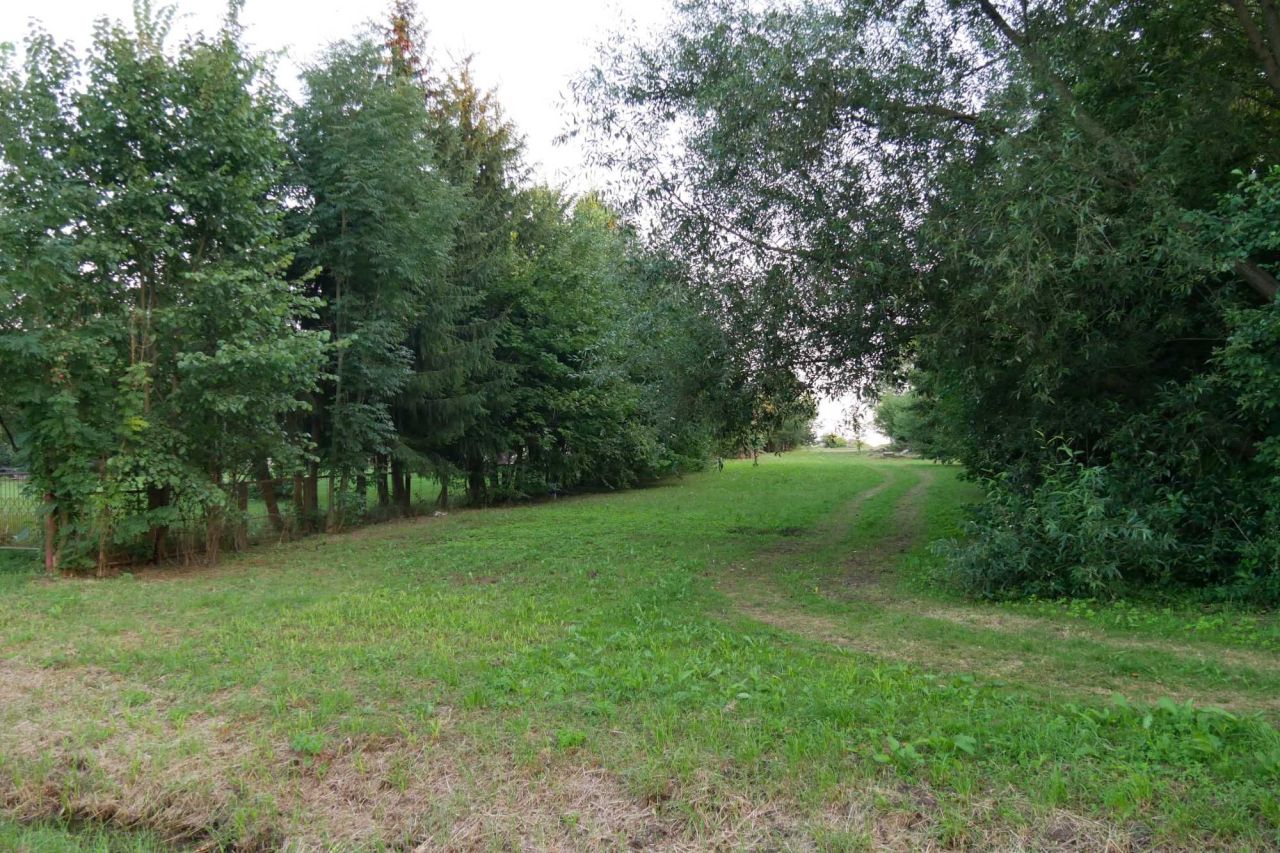 Działka budowlana Osiny, ul. Centralna. Zdjęcie 6