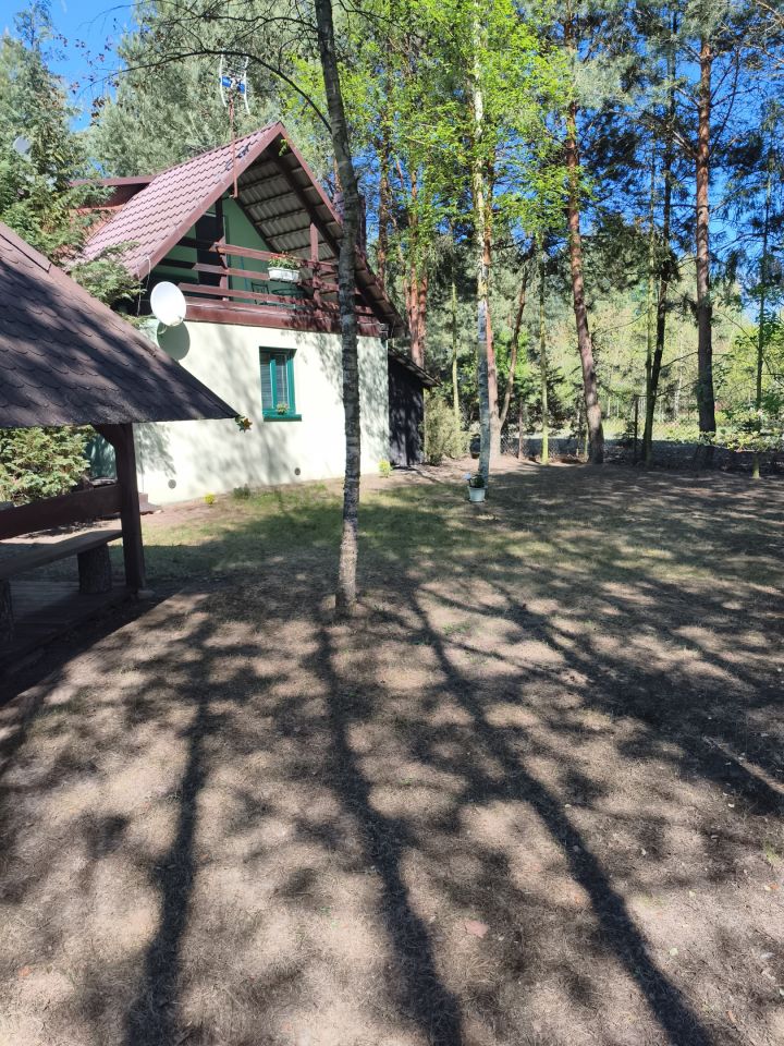 Działka rekreacyjna Zambski Kościelne, Leśna. Zdjęcie 4
