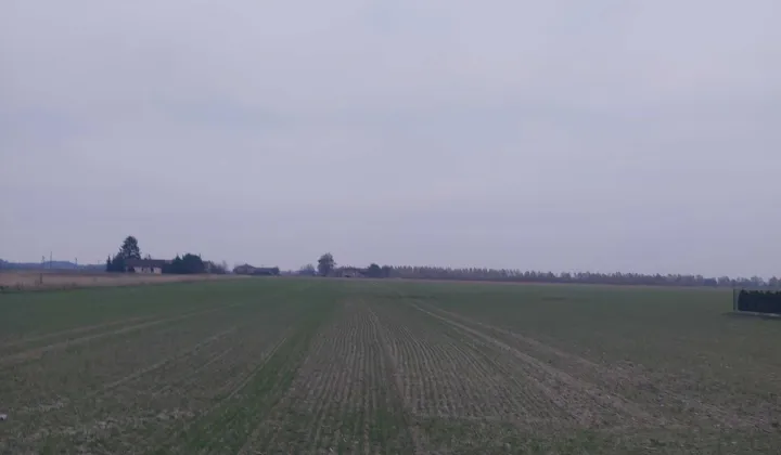 Działka rolno-budowlana Lesznowola, ul. Poprzeczna