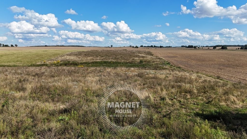 Działka rolna Rutwica. Zdjęcie 13