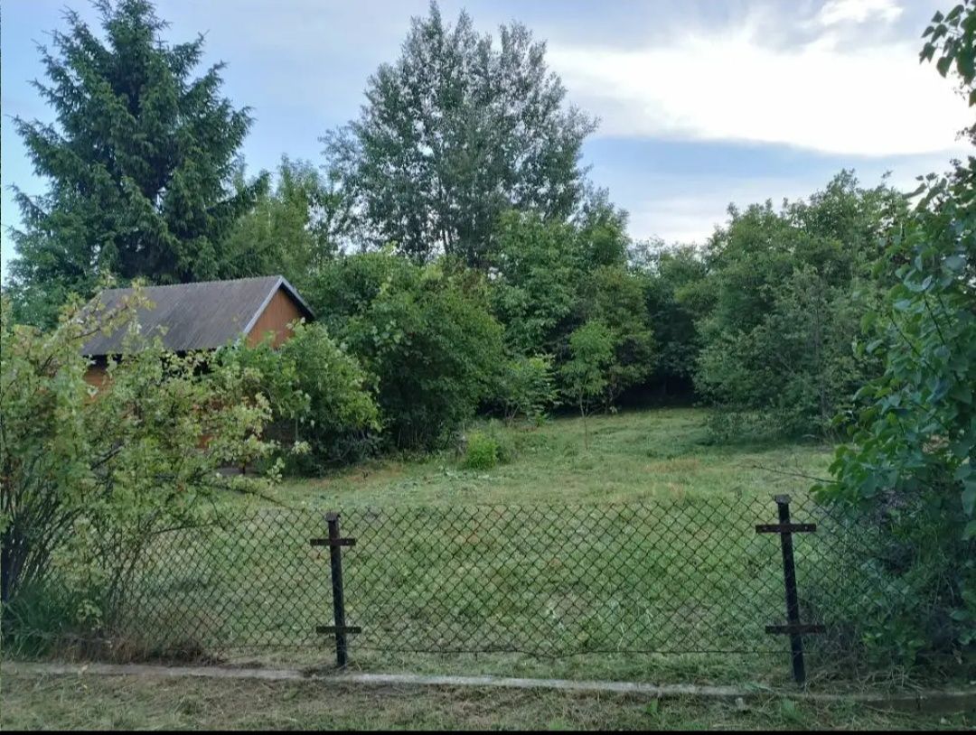 Działka rod Chełm, ul. Żabia. Zdjęcie 3