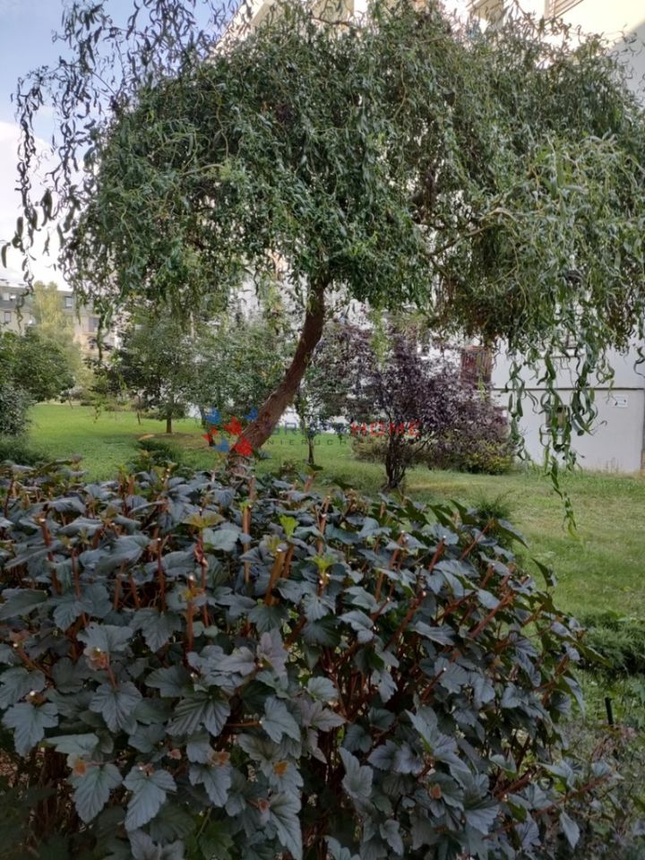 Mieszkanie 2-pokojowe Piaseczno, ul. Strusia. Zdjęcie 6