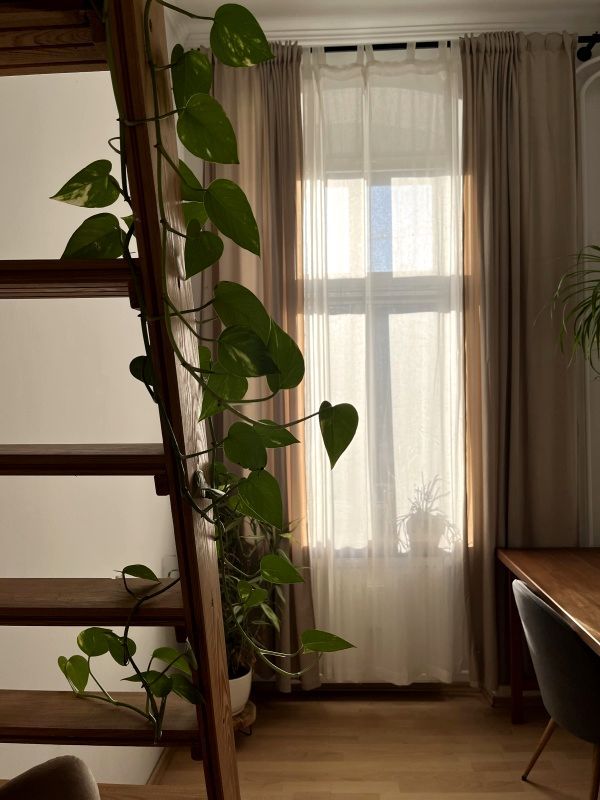 Mieszkanie 2-pokojowe Wrocław, ul. Stalowa. Zdjęcie 10