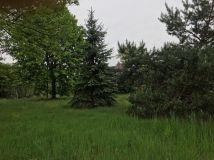 Działka budowlana Arciechów Dąbrowa, ul. Dąbrowiecka. Zdjęcie 3