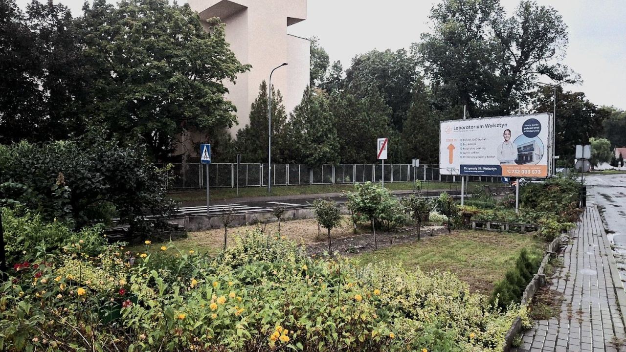 Działka inwestycyjna Wolsztyn, ul. Strzelecka. Zdjęcie 9