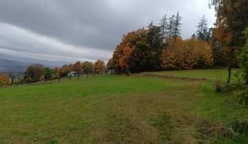 Działka rekreacyjna Nowa Ruda Góra Świętej Anny, ul. Góra Anny