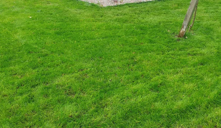 Działka budowlana Konarzewo