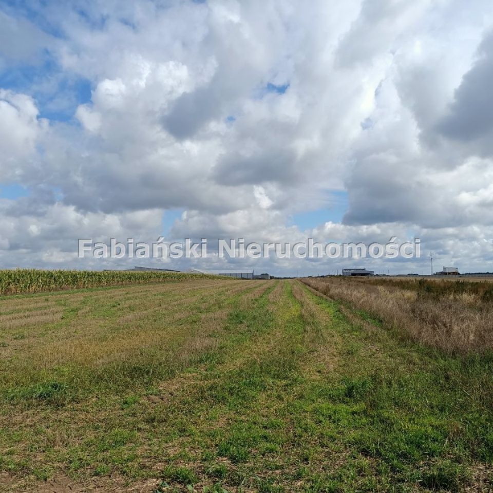 Działka inwestycyjna Mrowino. Zdjęcie 2