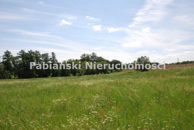 Działka budowlana Wiry. Zdjęcie 5