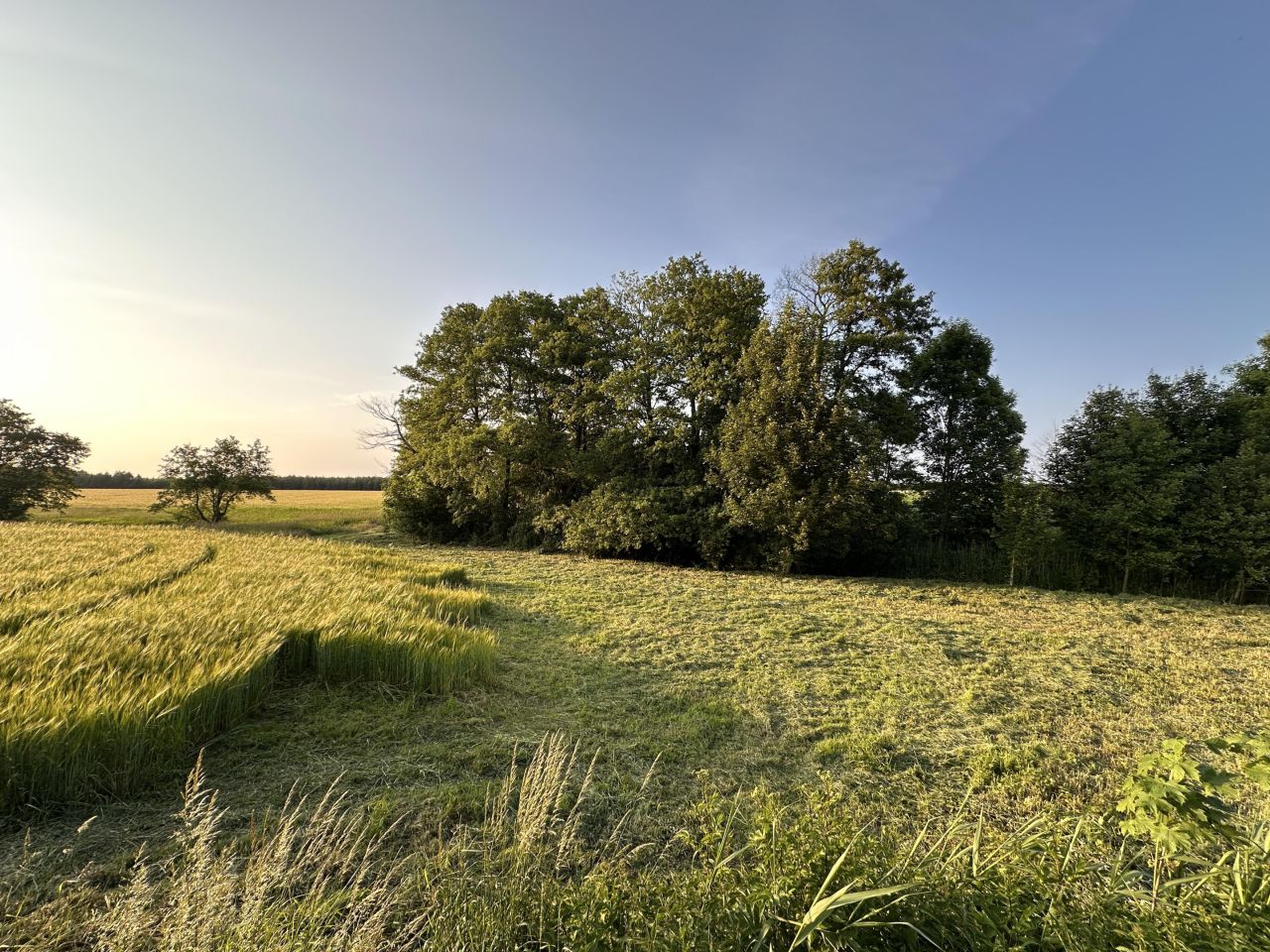 Działka budowlana Pomianowo. Zdjęcie 9