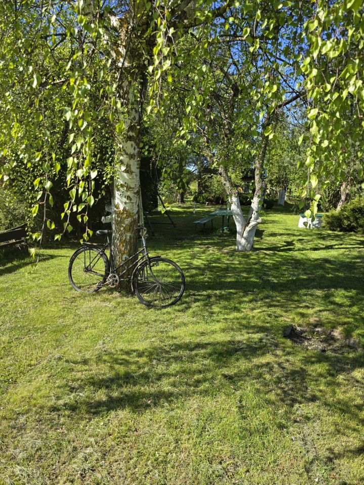 Działka rod Sępopol. Zdjęcie 7