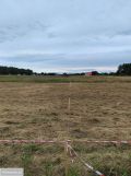 Działka budowlana Kierzkowo. Zdjęcie 3