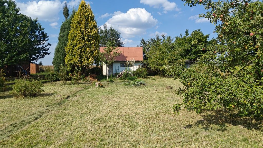 Działka rod Iłża. Zdjęcie 3