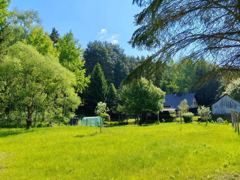 Działka budowlana Ostrów Nad Pilicą. Zdjęcie 2