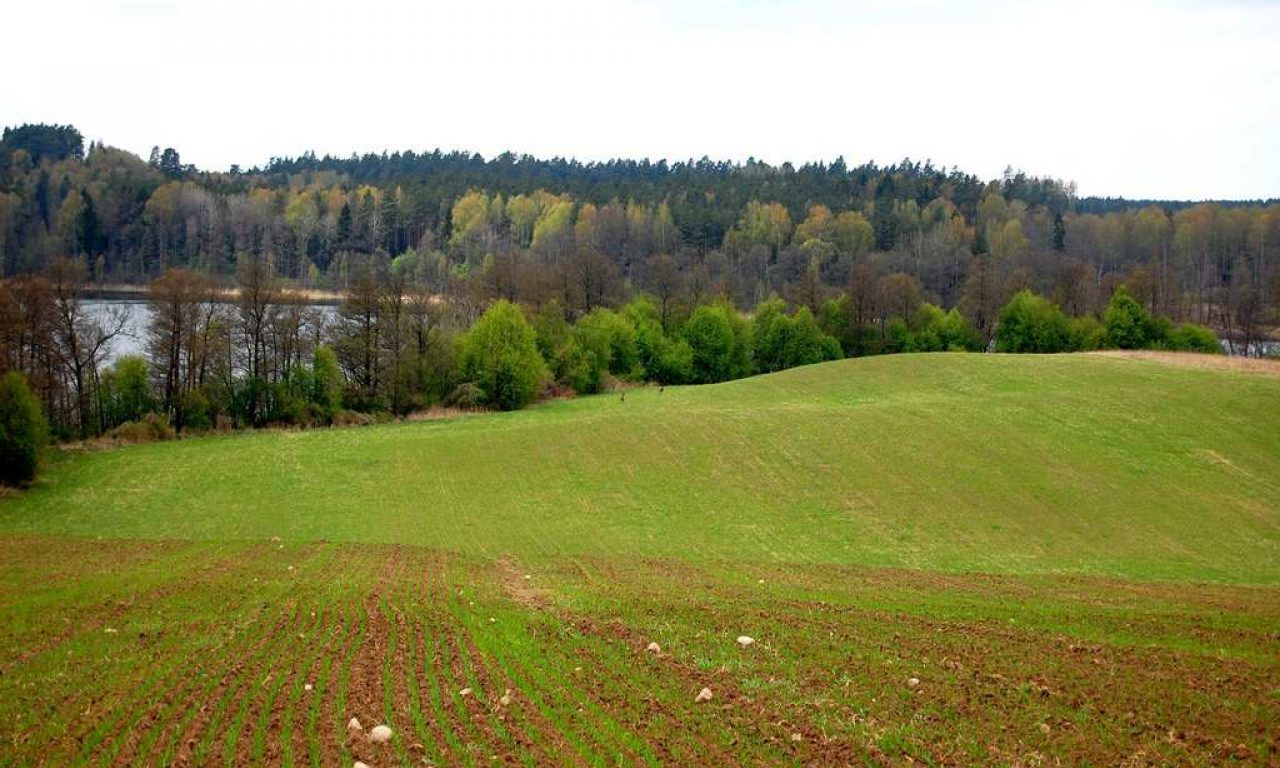 Działka rolna Ramsowo. Zdjęcie 8