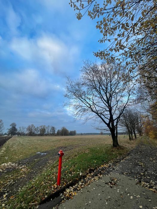 Działka budowlana Świeca. Zdjęcie 8