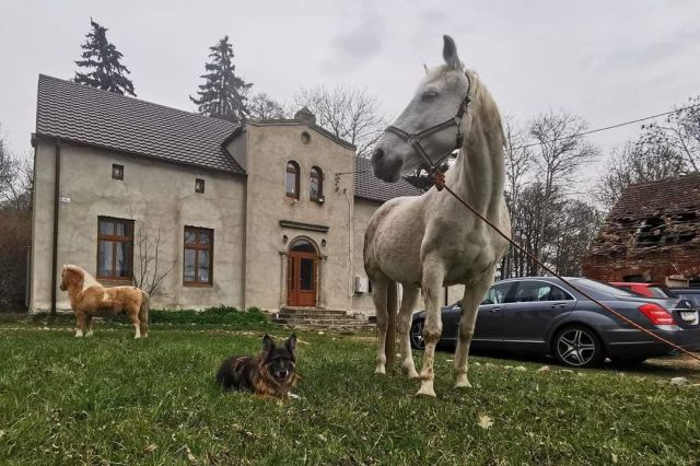 dworek, 13 pokoi Bławaty, Brak. Zdjęcie 1