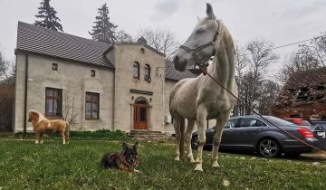 dworek, 13 pokoi Bławaty, Brak