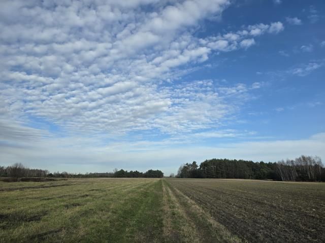 Działka rolna Duczki. Zdjęcie 2