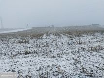 Działka rolno-budowlana Smardzów. Zdjęcie 1