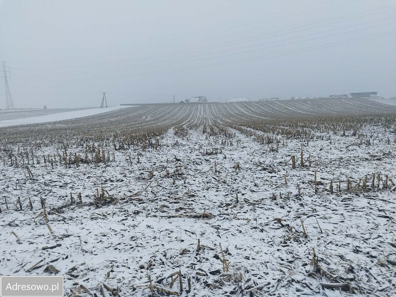 Działka rolno-budowlana Smardzów. Zdjęcie 2