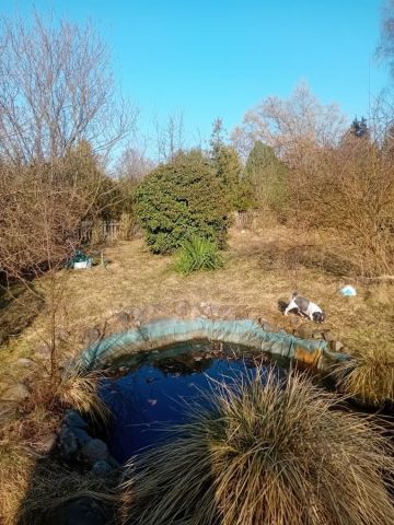 Działka rod Świdnica Łochowo. Zdjęcie 1