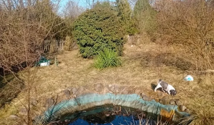 Działka rod Świdnica Łochowo