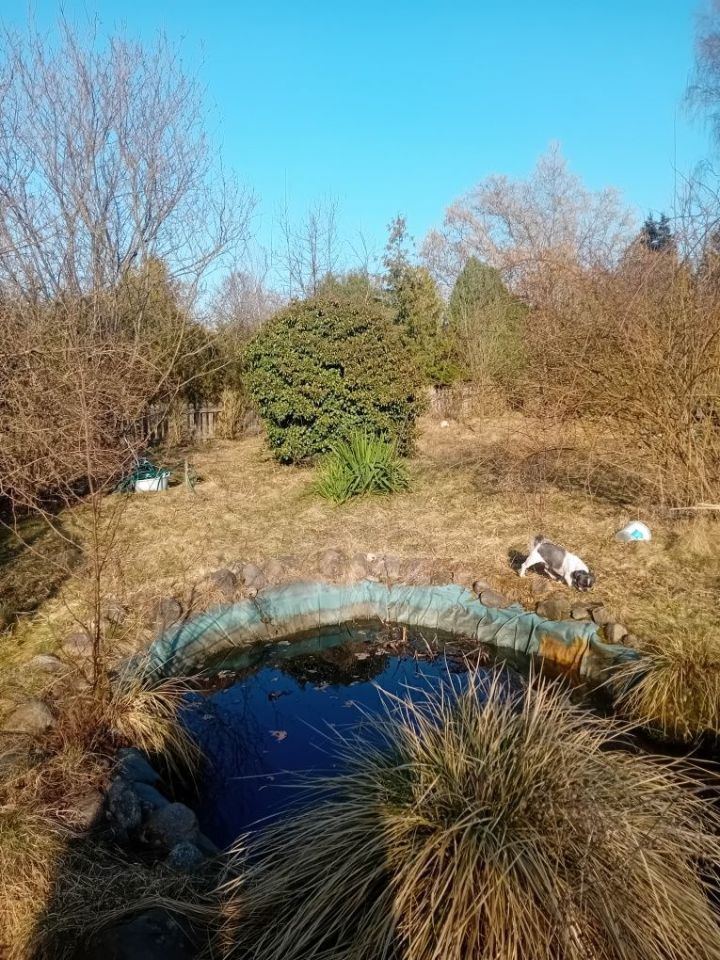 Działka rod Świdnica Łochowo. Zdjęcie 1
