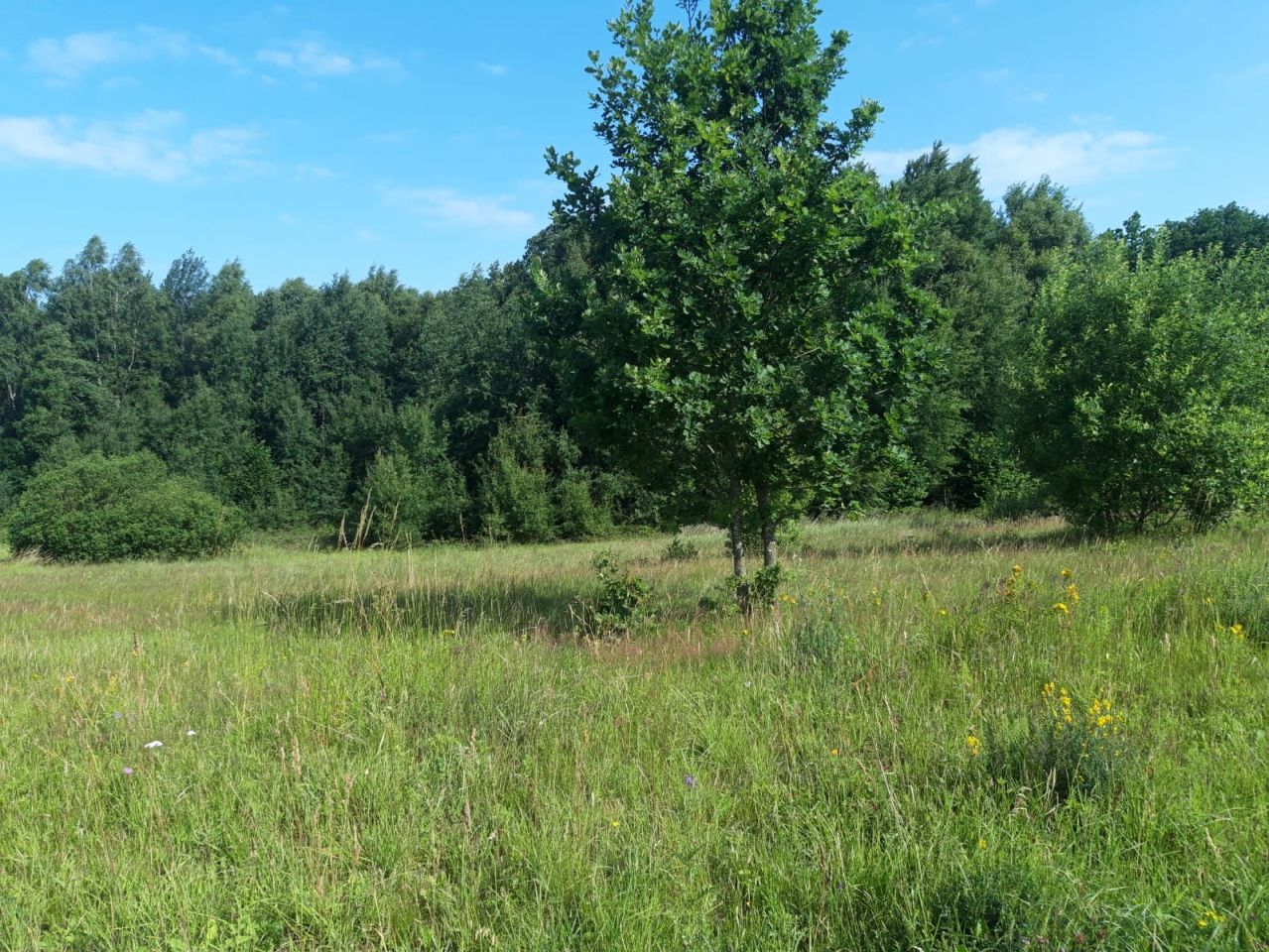 Działka budowlana Czarnkowie. Zdjęcie 9