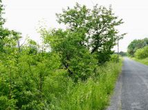 Działka rolna Załęże Duże Załęże-Parcela. Zdjęcie 3