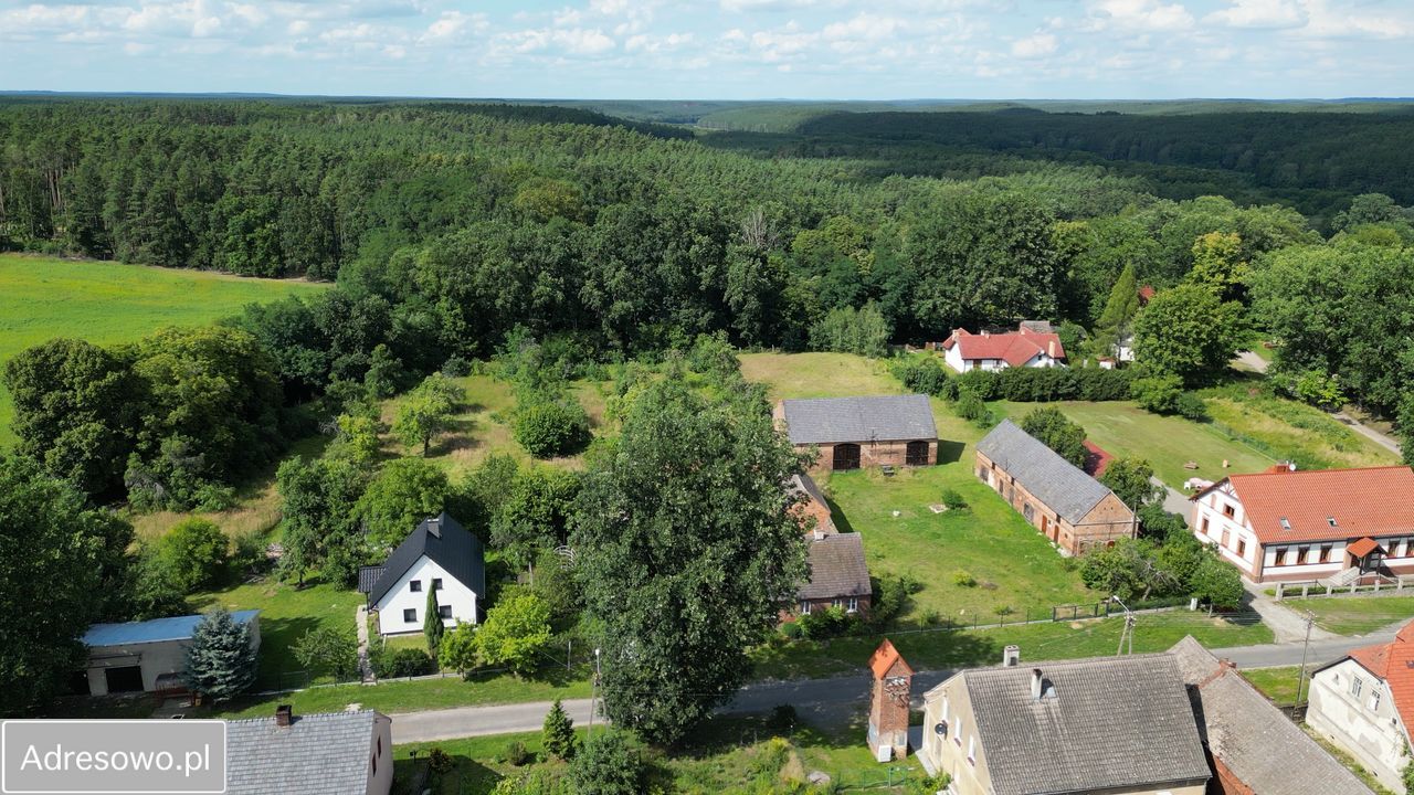 Działka rolno-budowlana Grabin. Zdjęcie 3