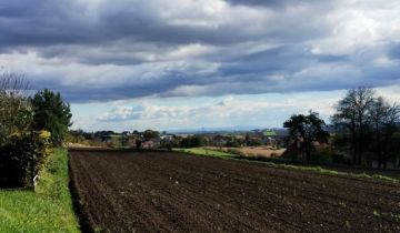 Działka rolno-budowlana Boleń