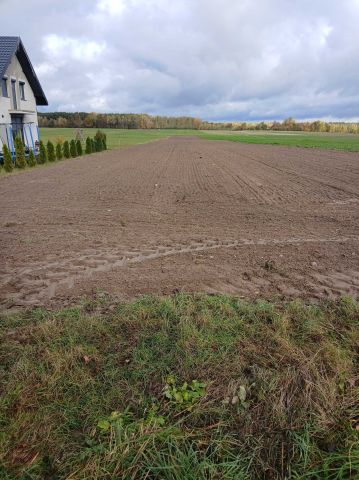 Działka rolno-budowlana Bebelno-Wieś. Zdjęcie 1