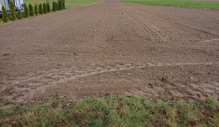 Działka rolno-budowlana Bebelno-Kolonia Pod Rogienicami