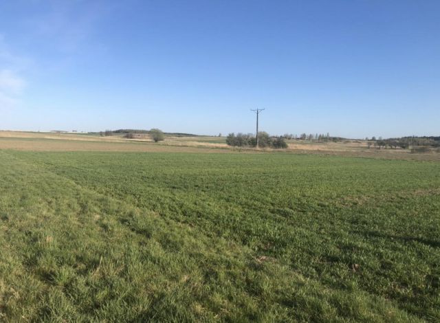 Działka budowlana Rzeszów, ul. Pogodna. Zdjęcie 1