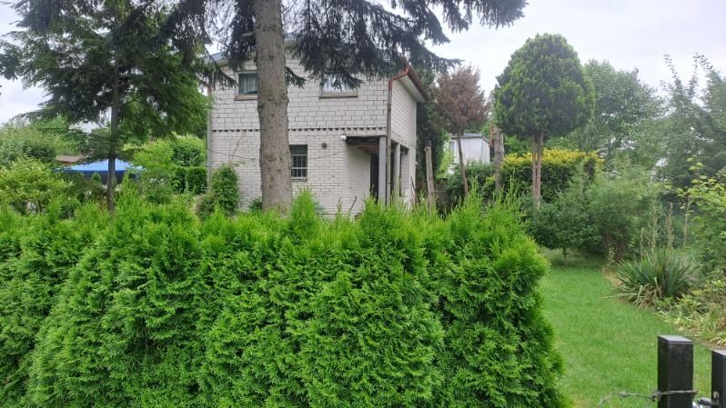 Działka rod Gdańsk Zabornia. Zdjęcie 1