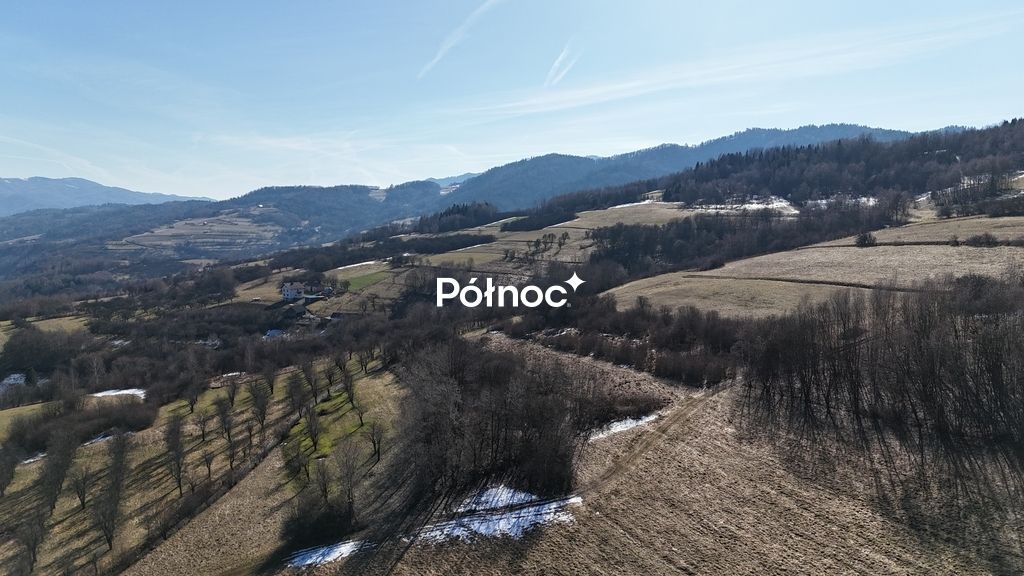 Działka rolna Kamienica. Zdjęcie 7