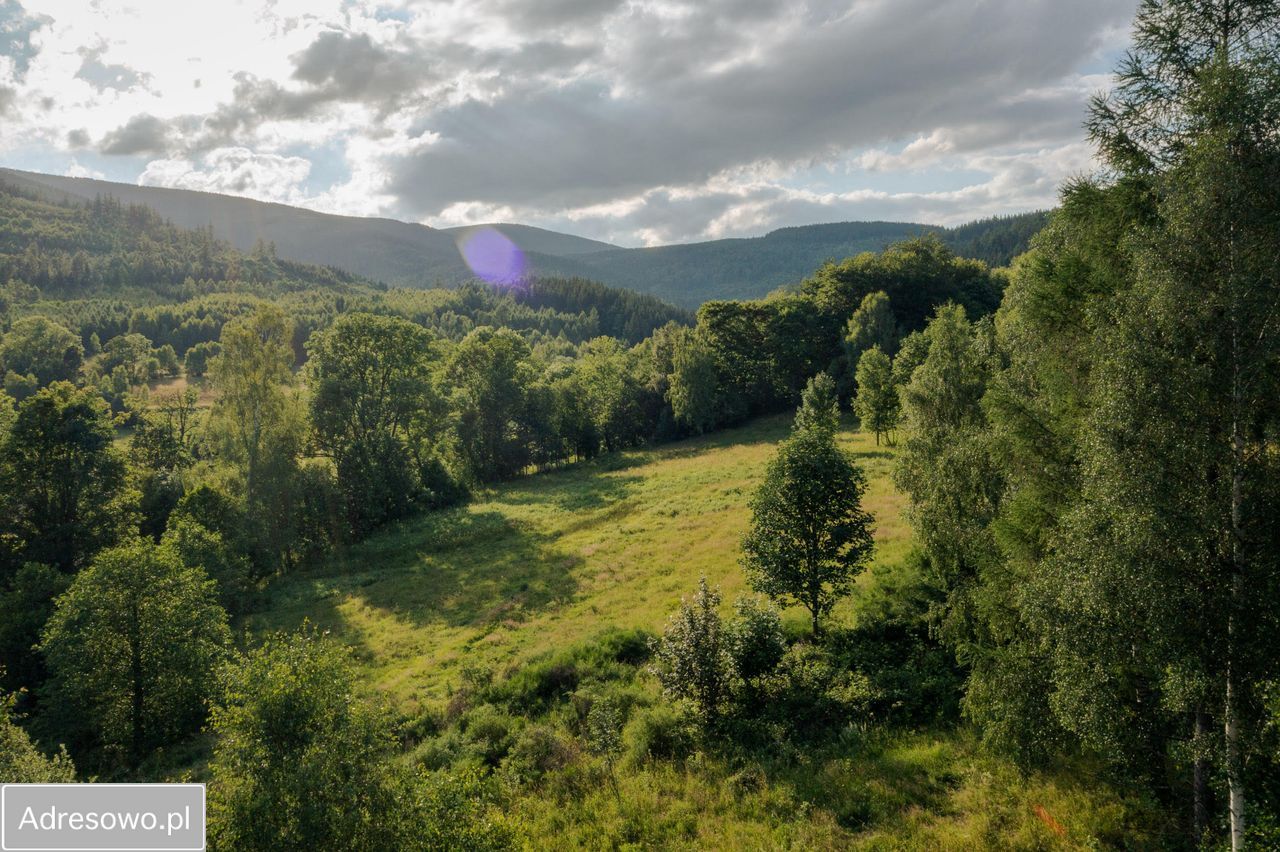 Działka budowlana Jarkowice. Zdjęcie 6