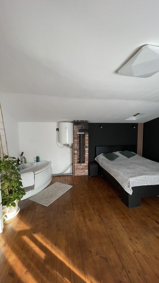 Działka rod Szczecin Centrum, ul. Kotwiczna. Zdjęcie 4