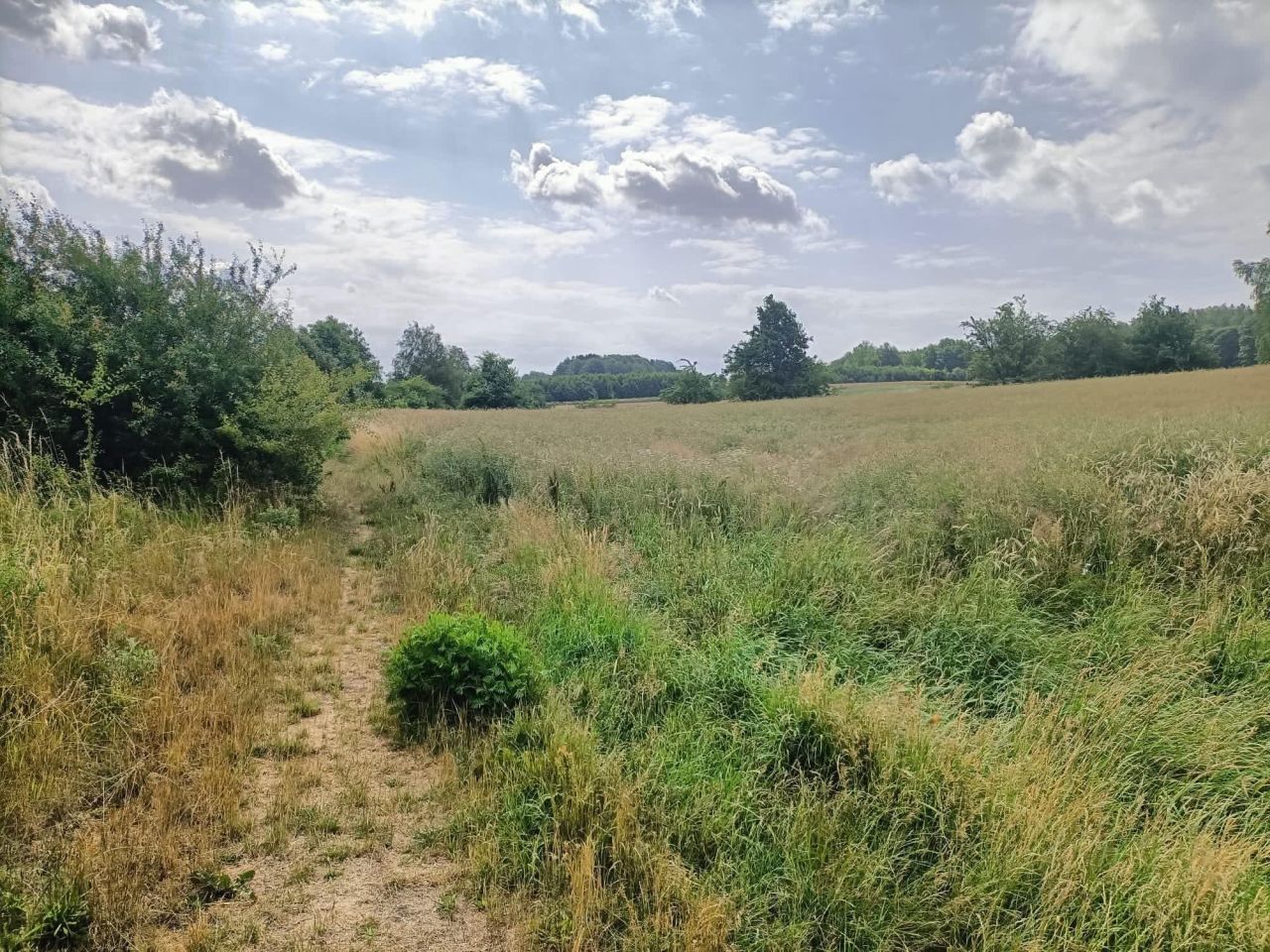 Działka budowlana Cieszeniewo. Zdjęcie 2