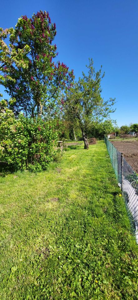 Działka rod Nowe Skalmierzyce. Zdjęcie 2