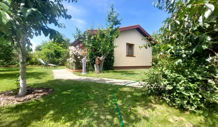 Działka rod Łódź Widzew, ul. Olkuska