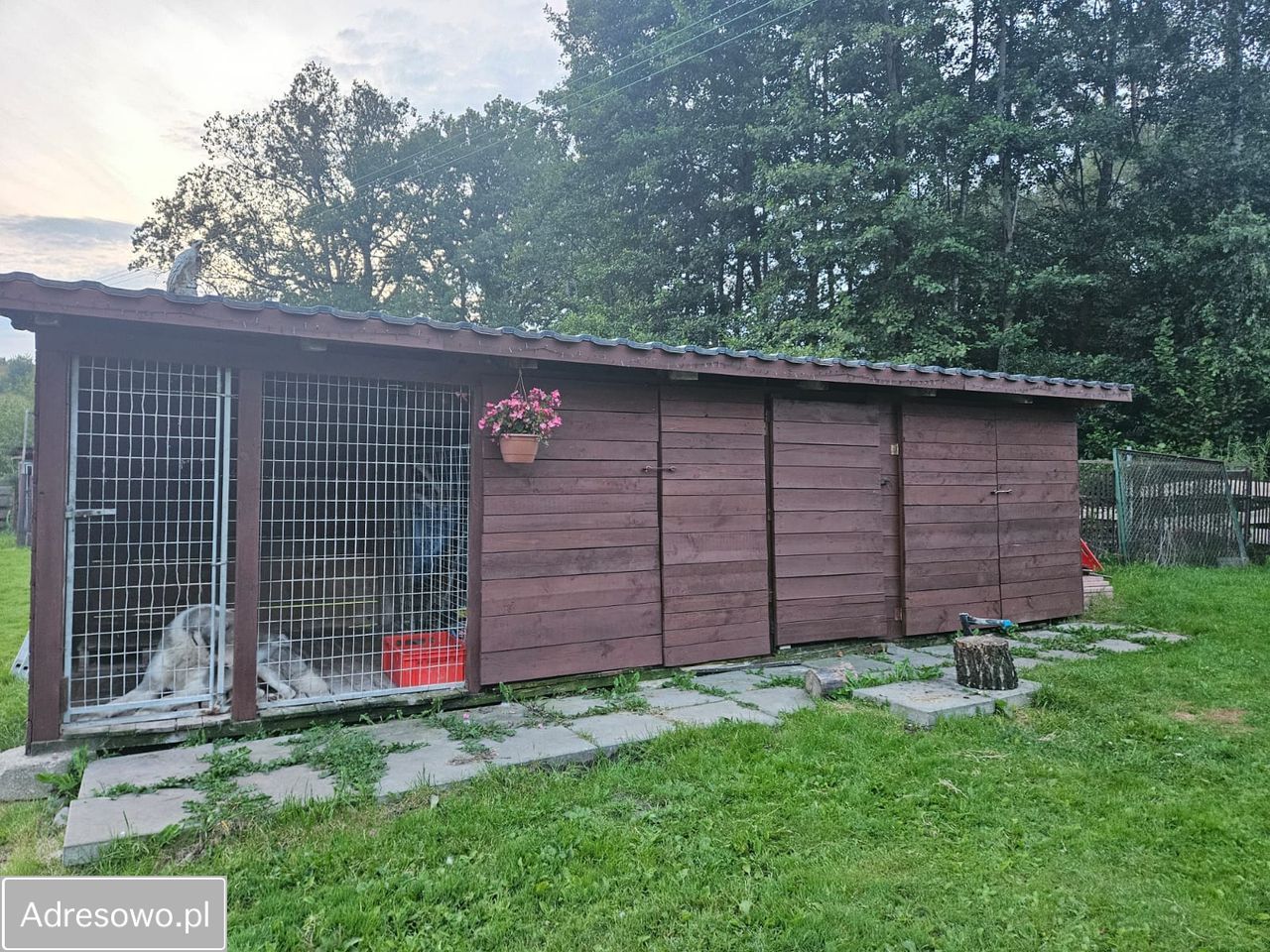 dom wolnostojący, 5 pokoi Gubity. Zdjęcie 12