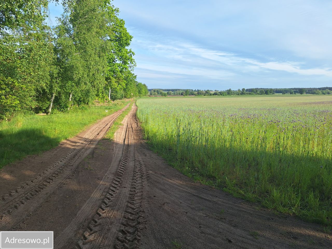 Działka budowlana Łubowice