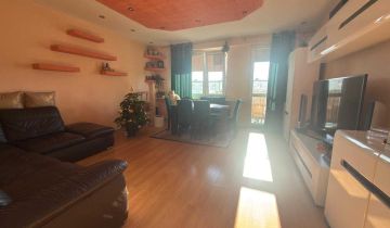 Mieszkanie 3-pokojowe Bełchatów