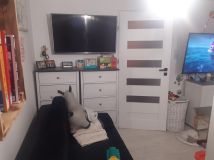 Mieszkanie 1-pokojowe Jelenia Góra Cieplice Śląskie-Zdrój, ul. Zjednoczenia Narodowego. Zdjęcie 4