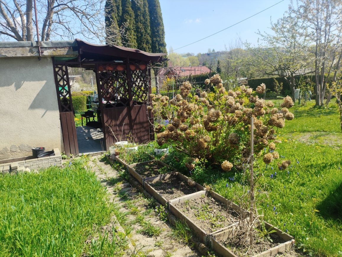 Działka rod Bielsko-Biała, ul. Bukowa. Zdjęcie 8